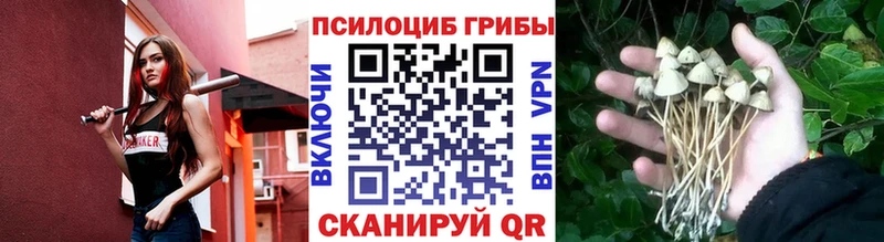 Псилоцибиновые грибы прущие грибы купить сайты mega зеркало площадка наркотические препараты Новоалтайск