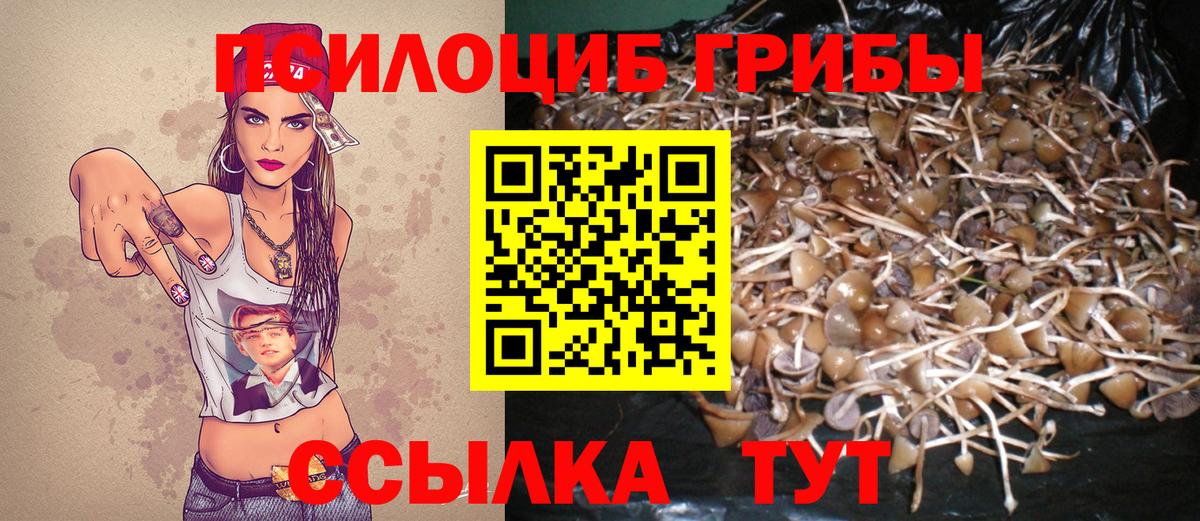 Галлюциногенные грибы мухоморы  Вход с VPN  Новоалтайск 